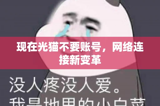 现在光猫不要账号，网络连接新变革