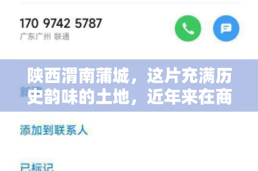 陕西渭南蒲城，这片充满历史韵味的土地，近年来在商业活动中也展现出了其独特的活力。其中，关于“陕西渭南蒲城要账”的话题，成为了不少企业关注的焦点。今天，我们就来聊聊这个话题，看看在蒲城，要账的那些事儿。